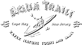 Aqua Trails Kayak Nature Tours & Sales - Cape May New Jersey